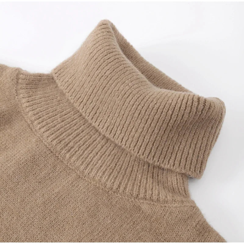 Eliza | Fashionable turtleneck sweater