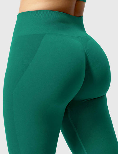 Sienna | Elegant Seamless Leggings